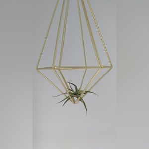 Umbra Prisma Wall Decor (Gold)